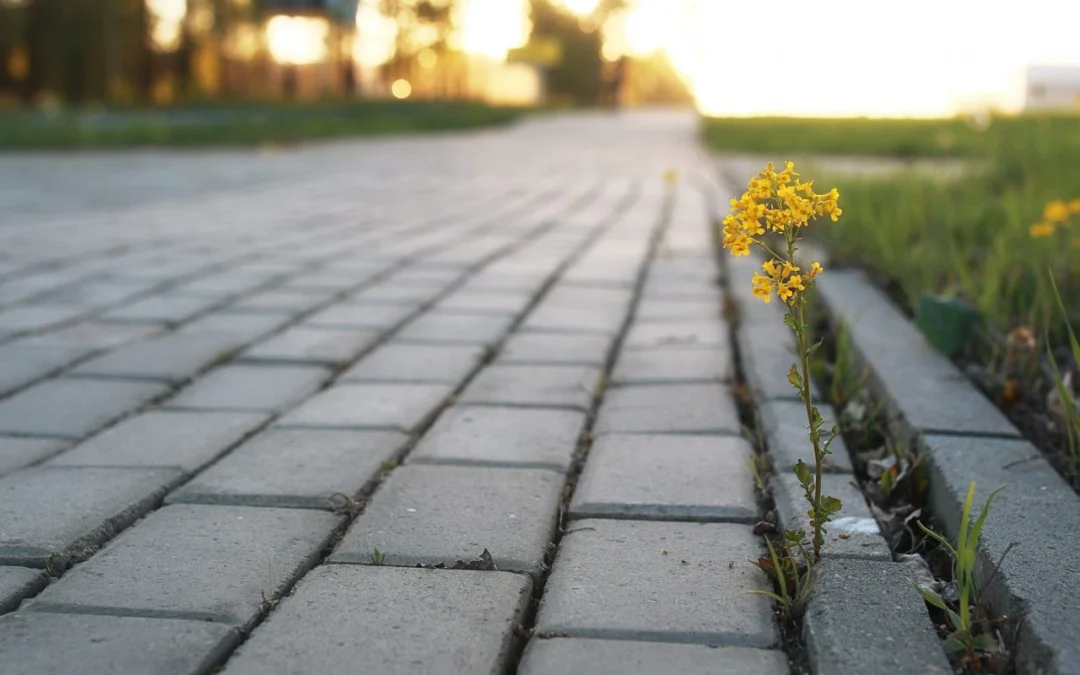 Preparing for Greatness No Matter Your Circumstances